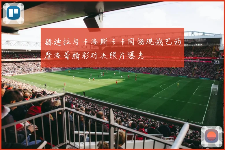 赫迪拉与卡洛斯卡卡同场观战巴西摩洛哥精彩对决照片曝光