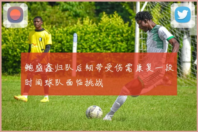鲍盛鑫归队后韧带受伤需康复一段时间球队面临挑战
